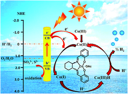 Graphical abstract: Molecular cobalt–salen complexes as novel cocatalysts for highly efficient photocatalytic hydrogen production over a CdS nanorod photosensitizer under visible light