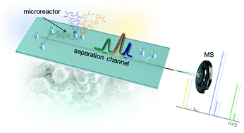 Graphical abstract: Integrated on-chip mass spectrometry reaction monitoring in microfluidic devices containing porous polymer monolithic columns