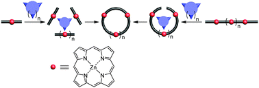 Graphical abstract: Recent advances in the template-directed synthesis of porphyrin nanorings