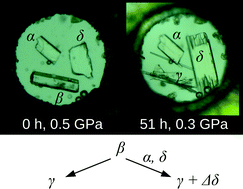 Graphical abstract: Unusual seeding effect in the liquid-assisted high-pressure polymorphism of chlorpropamide