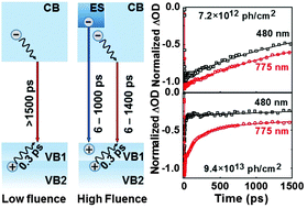 Graphical abstract: How photon pump fluence changes the charge carrier relaxation mechanism in an organic–inorganic hybrid lead triiodide perovskite