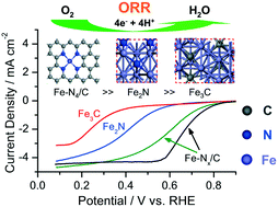 Graphical abstract: Is iron nitride or carbide highly active for oxygen reduction reaction in acidic medium?