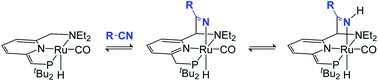 Graphical abstract: Metal–ligand cooperative activation of nitriles by a ruthenium complex with a de-aromatized PNN pincer ligand