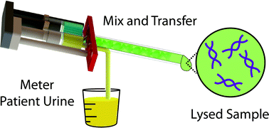 Graphical abstract: Evaluating 3D printing to solve the sample-to-device interface for LRS and POC diagnostics: example of an interlock meter-mix device for metering and lysing clinical urine samples