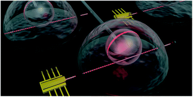 Graphical abstract: Towards next-generation label-free biosensors: recent advances in whispering gallery mode sensors