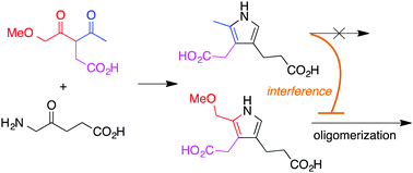 Graphical abstract: Complexity in structure-directed prebiotic chemistry. Reaction bifurcation from a β-diketone in tetrapyrrole formation