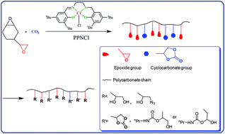 Graphical abstract: One-pot synthesis and postpolymerization functionalization of cyclic carbonate/epoxide-difunctional polycarbonates prepared by regioselective diepoxide/CO2 copolymerization