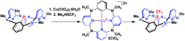 Graphical abstract: Synthesis of trifluoromethylthiolated azacalix[1]arene[3]pyridines from the Cu(ii)-mediated direct trifluoromethylthiolation reaction of arenes via reactive arylcopper(iii) intermediates