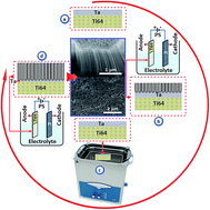 Graphical abstract: Optimizing PVD conditions for electrochemical anodization growth of well-adherent Ta2O5 nanotubes on Ti–6Al–4V alloy