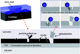 Graphical abstract: Dynamic tribochemical behavior of TiN/TiCN coated Ti6Al4V in artificial seawater