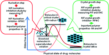 Graphical abstract: Evaluation of the inhibitory potential of HPMC, PVP and HPC polymers on nucleation and crystal growth