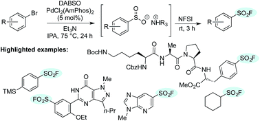 Graphical abstract: One-pot palladium-catalyzed synthesis of sulfonyl fluorides from aryl bromides