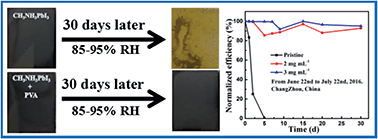 Graphical abstract: Long-term stability of organic–inorganic hybrid perovskite solar cells with high efficiency under high humidity conditions