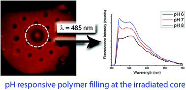 Graphical abstract: Controlled core-to-core photo-polymerisation – fabrication of an optical fibre-based pH sensor