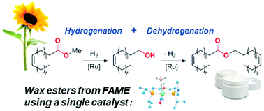 Graphical abstract: Solvent- and base-free synthesis of wax esters from fatty acid methyl esters by consecutive one-pot, two-step catalysis