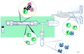 Graphical abstract: Novel non-target analysis of fluorine compounds using ICPMS/MS and HPLC-ICPMS/MS