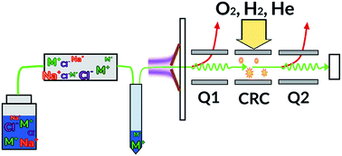 Graphical abstract: Determination of Mn, Fe, Ni, Cu, Zn, Cd and Pb in seawater using offline extraction and triple quadrupole ICP-MS/MS