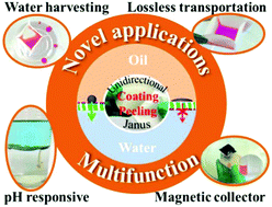 Graphical abstract: Simply realizing “water diode” Janus membranes for multifunctional smart applications