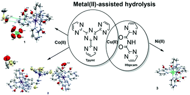 Graphical abstract: Synthesis, crystal structure and magnetic properties of [Co(bpcam)2]ClO4·dmso·H2O, [Co(bpcam)2]2[Co(NCS)4]·dmso·H2O and [Ni(bpcam)2]·H2O [Hbpcam = bis(2-pyrimidylcarbonyl)amide]