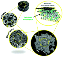 Graphical abstract: Hierarchically porous, ultra-strong reduced graphene oxide-cellulose nanocrystal sponges for exceptional adsorption of water contaminants