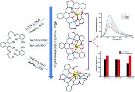 Graphical abstract: Fluorescence properties of heterotrinuclear Zn(ii)–M(ii) (M = Ca, Sr and Ba) bis(salamo)-type complexes