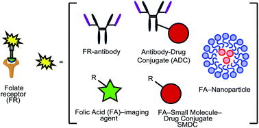 Graphical abstract: Advances in targeting the folate receptor in the treatment/imaging of cancers