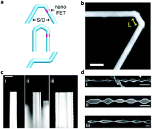 Graphical abstract: Nanoscale silicon for subcellular biointerfaces