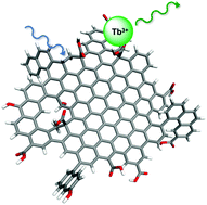 Graphical abstract: Singular wavelength dependence on the sensitization of lanthanides by graphene quantum dots