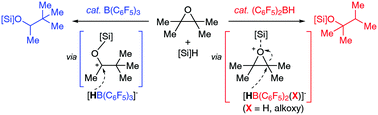 Graphical abstract: Piers’ borane-mediated hydrosilylation of epoxides and cyclic ethers