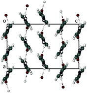 Graphical abstract: A new polymorph of the common coformer isonicotinamide