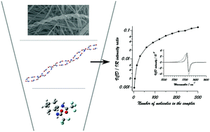 Graphical abstract: Intermediate length-scale chirality related to the vibrational circular dichroism intensity enhancement upon fibril formation in a gelation process