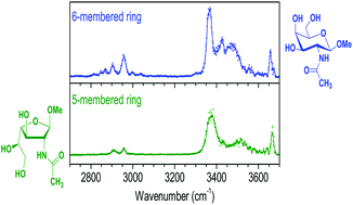 Graphical abstract: Spectroscopic diagnostic for the ring-size of carbohydrates in the gas phase: furanose and pyranose forms of GalNAc