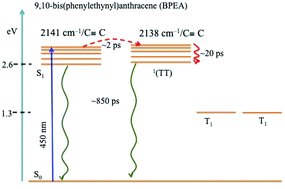 Graphical abstract: Unraveling structural dynamics in isoenergetic excited S1 and multi-excitonic 1(TT) states of 9,10-bis(phenylethynyl)anthracene (BPEA) in solution via ultrafast Raman loss spectroscopy