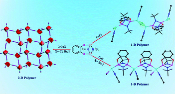 Graphical abstract: Catechol and 1,2,4,5-tetrahydroxybenzene functionalized cyclodiphosphazane ligands: synthesis, structural studies, and transition metal complexes