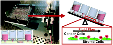 Graphical abstract: Pumpless platform for high-throughput dynamic multicellular culture and chemosensitivity evaluation