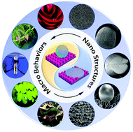 Graphical abstract: The wettability of gas bubbles: from macro behavior to nano structures to applications