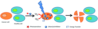 Graphical abstract: Using X-rays in photodynamic therapy: an overview