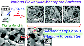 Graphical abstract: Comprehensive studies on phosphoric acid treatment of porous titania toward titanium phosphate and pyrophosphate monoliths with pore hierarchy and a nanostructured pore surface