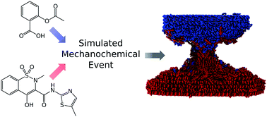 Graphical abstract: Insights into mechanochemical reactions at the molecular level: simulated indentations of aspirin and meloxicam crystals