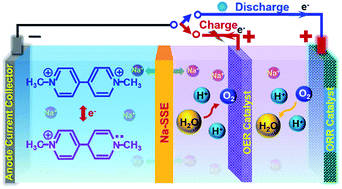 Graphical abstract: A strategically managed rechargeable battery system with a neutral methyl viologen anolyte and an acidic air-cathode enabled by a mediator-ion solid electrolyte