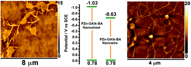 Graphical abstract: Deciphering the potentiometric properties of (porphinato)zinc(ii)-derived supramolecular polymers and related superstructures