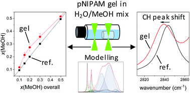 Graphical abstract: Enrichment of methanol inside pNIPAM gels in the cononsolvency-induced collapse