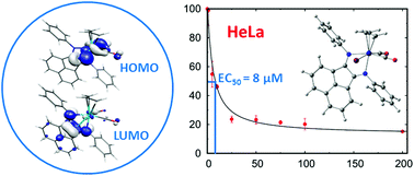 Graphical abstract: Molybdenum(ii) complexes with p-substituted BIAN ligands: synthesis, characterization, biological activity and computational study