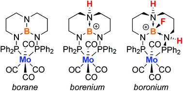 Graphical abstract: Isolation of ligand-centered borocations in molybdenum complexes containing a triaminoborane-bridged diphosphorus ligand