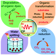 Graphical abstract: Conjugated polymers for visible-light-driven photocatalysis