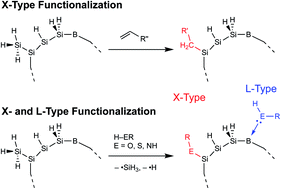 Graphical abstract: Modulating donor–acceptor transition energies in phosphorus–boron co-doped silicon nanocrystals via X- and L-type ligands