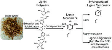 Graphical abstract: Supercritical methanol depolymerization and hydrodeoxygenation of lignin and biomass over reduced copper porous metal oxides