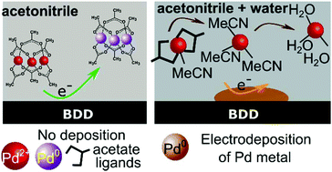 Graphical abstract: Switching on palladium catalyst electrochemical removal from a palladium acetate–acetonitrile system via trace water addition