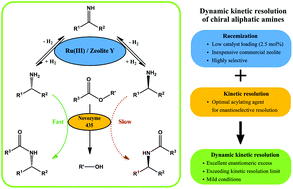 Graphical abstract: Novel heterogeneous ruthenium racemization catalyst for dynamic kinetic resolution of chiral aliphatic amines