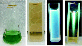 Graphical abstract: Carbon dots derived from algae as H2O2 sensors: the importance of nutrients in biomass